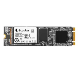 SSD BLUERAY SSD 256GB 2280 M9V M.2 SATA