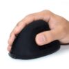 RATO EWENT Ergonomic Wireless Preto