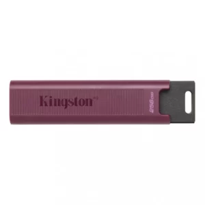 Pen KINGSTON DataTraveler Max 256GB USB 3.2 Pen KINGSTON DataTraveler Max 256GB USB 3.2